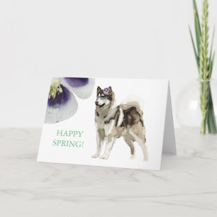 Husky and flower Greeting Card