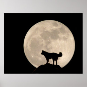 Husky Art Print Sled Dog Art Poster Husky Cadfts