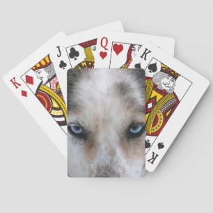 Husky blue eyes playing cards deck