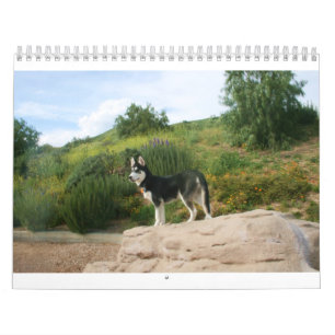 Husky Calendar 2011