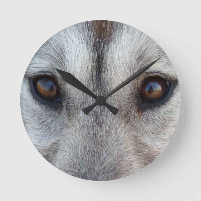Husky Clock Gifts Decor Wolf Dog Wall Clock (Front)