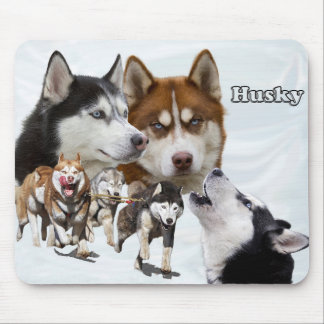 husky collage mouse pad