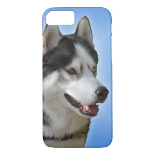 Husky coques iphone Husky Malamute  Coques