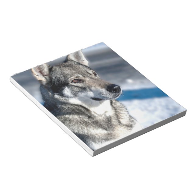 Husky dans Bloc-notes Neige (Incliné)