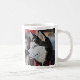 Husky dog before a race, Canada Coffee Mug