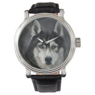Husky Dog Big Dog Animal Pet Watch