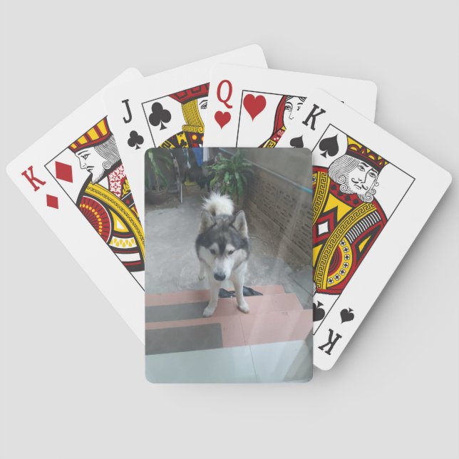 Husky Dog Classic Playing Cards (Back)