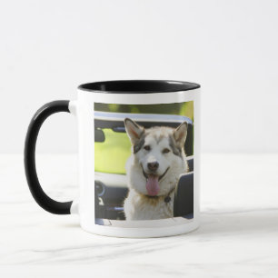 Husky dog from convertible mug