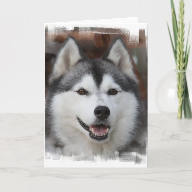Husky Dog Greeting Card (Front)