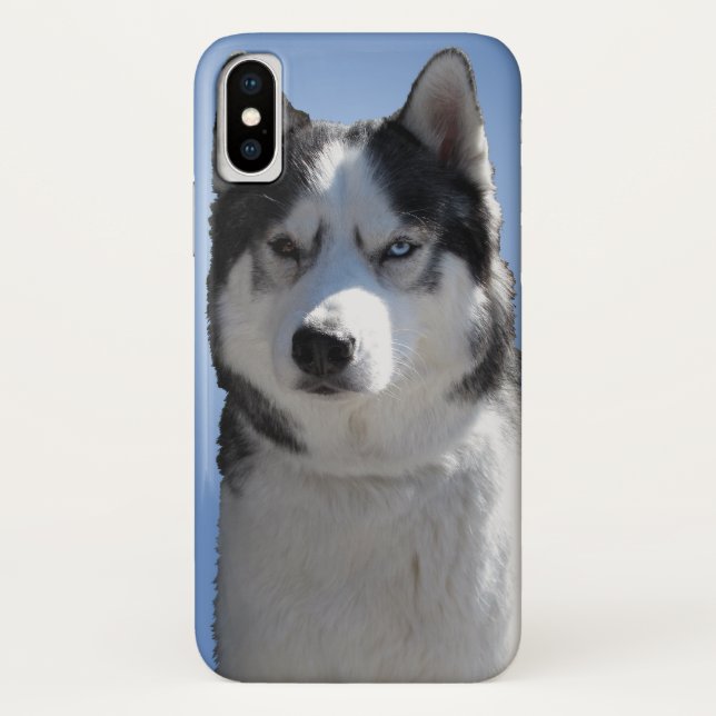 Husky Dog iPhone Cases Husky Malamute Pup Cases (Back)