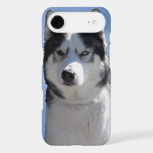 Husky Dog iPhone Cases Husky Malamute Pup Cases