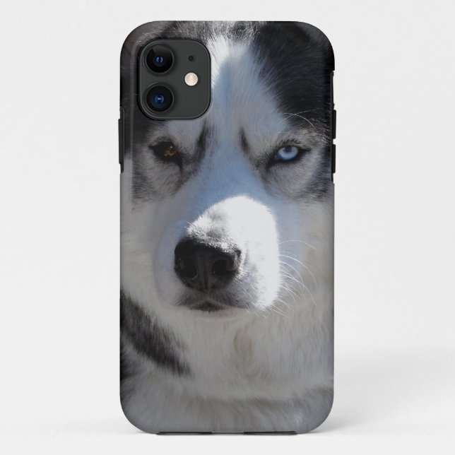 Husky Dog iPhone Cases Husky Malamute Pup Cases (Back)