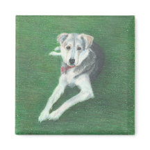 Husky Dog Magnet