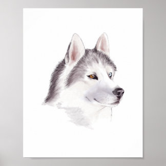 Husky Dog poster / animal posters