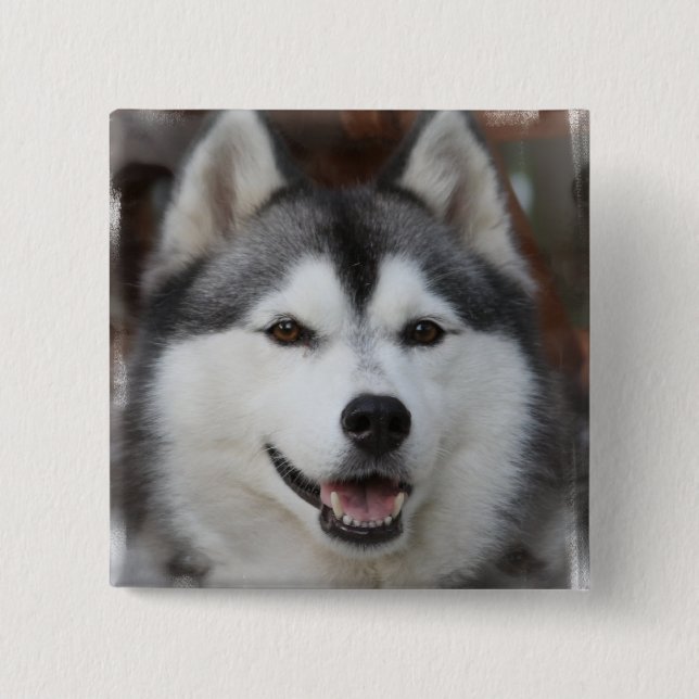 Husky Dog Square Button (Front)