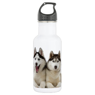 Husky Dogs 532 Ml Water Bottle