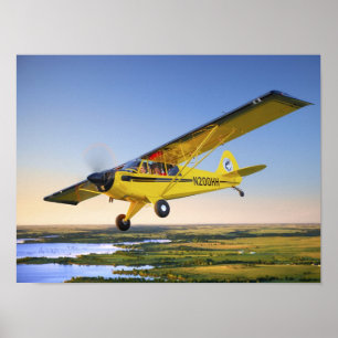 Husky El Dorado Poster