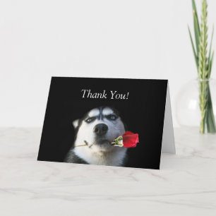 Husky et Carte de remerciements Rose