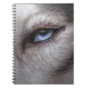 Husky Eye Notebook Siberian Husky Gifts & Books