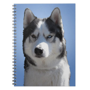 Husky Eye Notebook Siberian Husky Gifts & Books