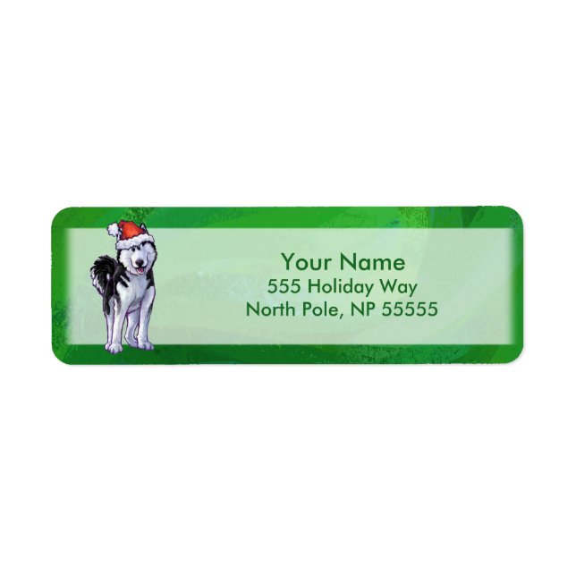 Husky festif à Santa Hat sur Vert (Devant)