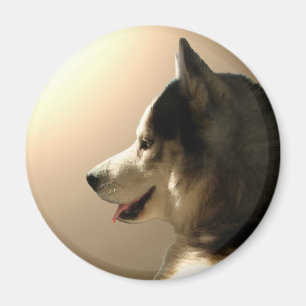 Husky Fridge Magnet Alaskan Sled Dog Magnet / Gift