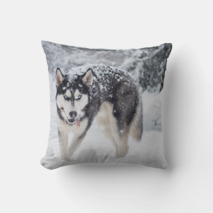 Husky in the snow throw pillow
