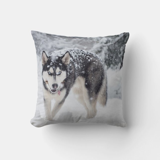Husky in the snow throw pillow (Front)