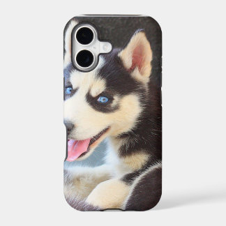 Husky iPhone 5 case