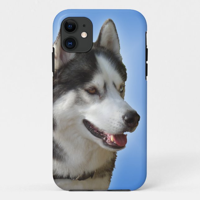 Husky iPhone 5 Case Siberian Husky Malamute Cases (Back)