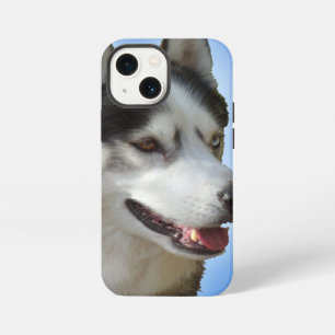 Husky iPhone Cases Siberian Husky Samsung Cases