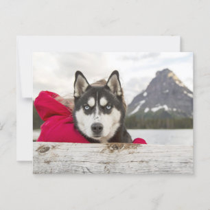 Husky Mountains Lake Postcrossing Postcard