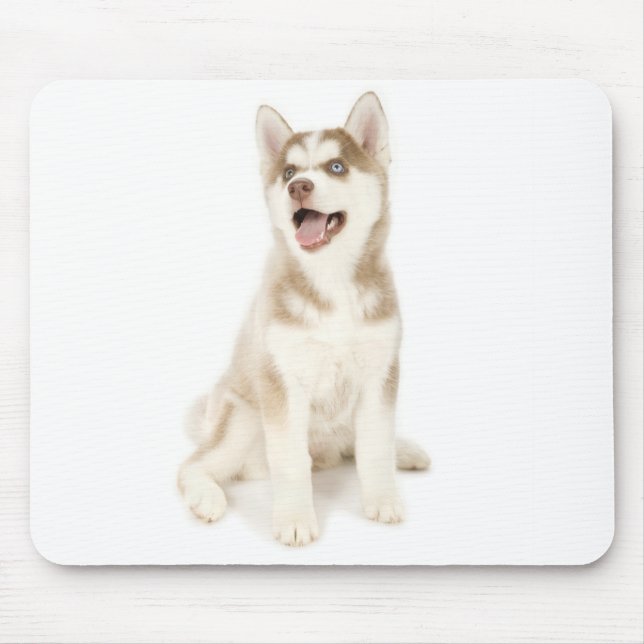 Husky Mousepad (Front)