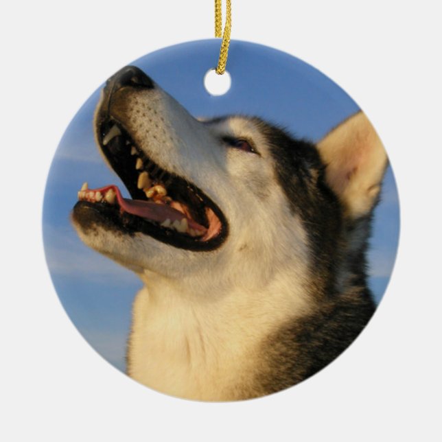 Husky Ornament (Front)