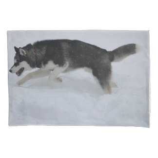 Husky Pillow Case