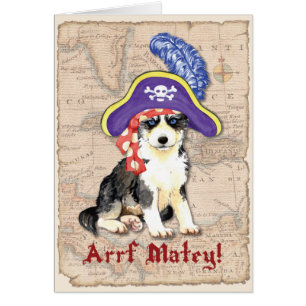 Husky Pirate Card