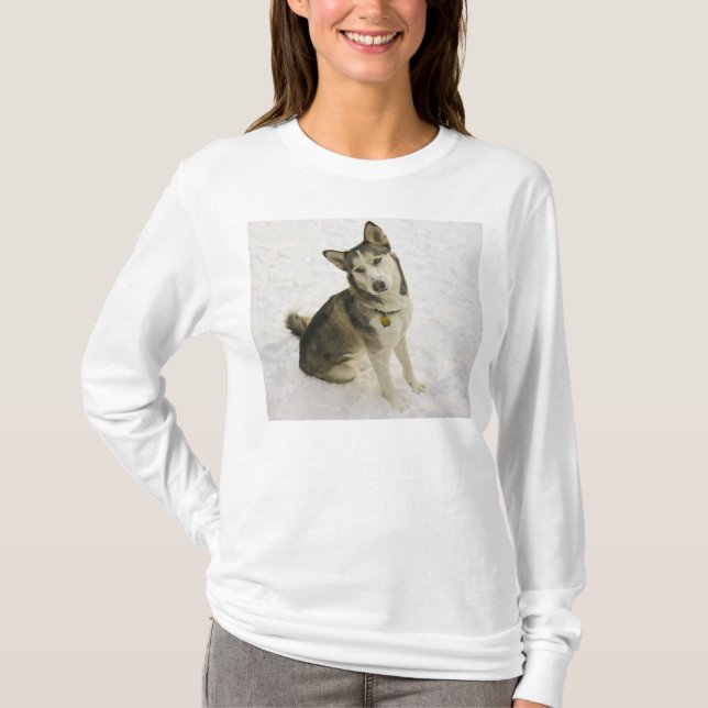 Husky Pose T-Shirt (Front)