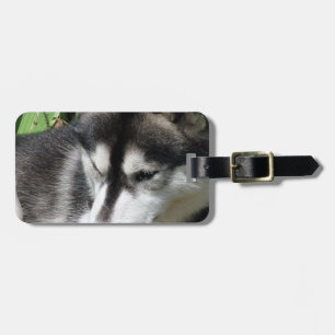 Husky Profile Luggage Tag