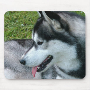 Husky Profile Mouse Pad