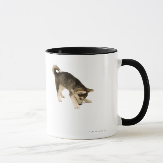 Husky Puppy 2 Mug (Right)