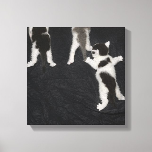 Husky Puppy Canvas Print (Front)