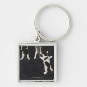 Husky Puppy Keychain