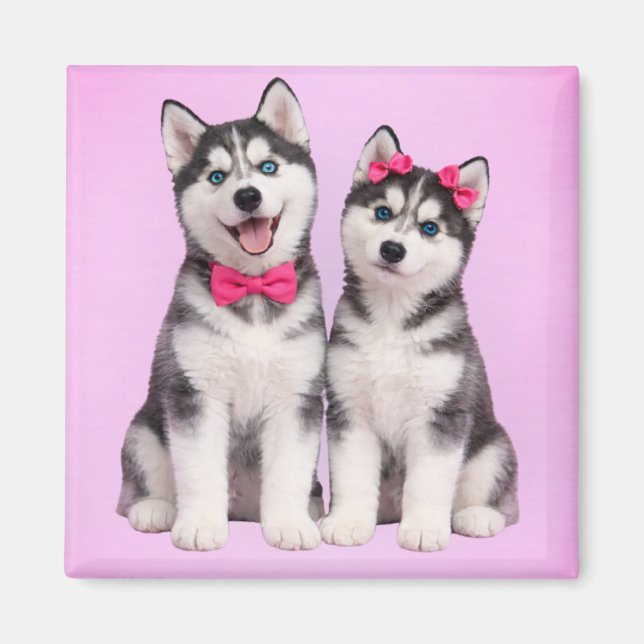 Husky Puppy Love Valentine Magnet (Devant)