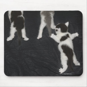 Husky Puppy Mouse Pad