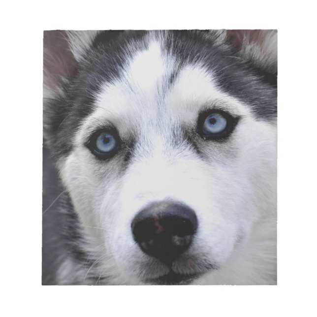Husky Puppy Notepad (Front)