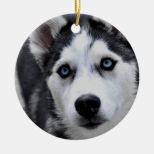 Husky Puppy Ornament