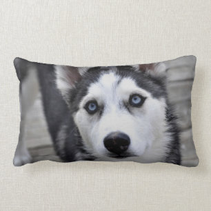 Husky Puppy Pillow