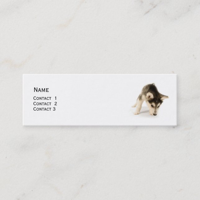 Husky Puppy Profile Card (Front)