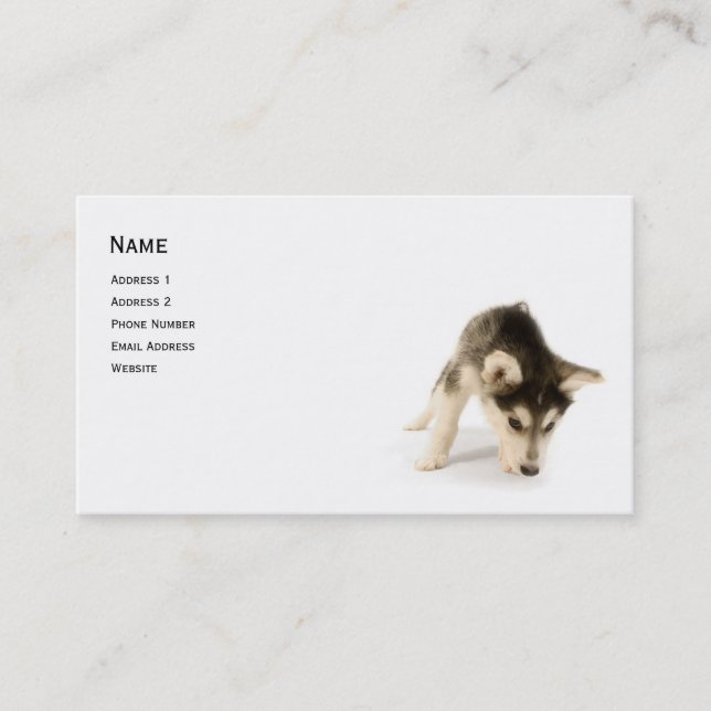 Husky Puppy Profile Card (Front)