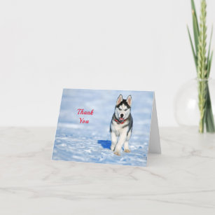 Husky Puppy Snow Photo Thank You Card